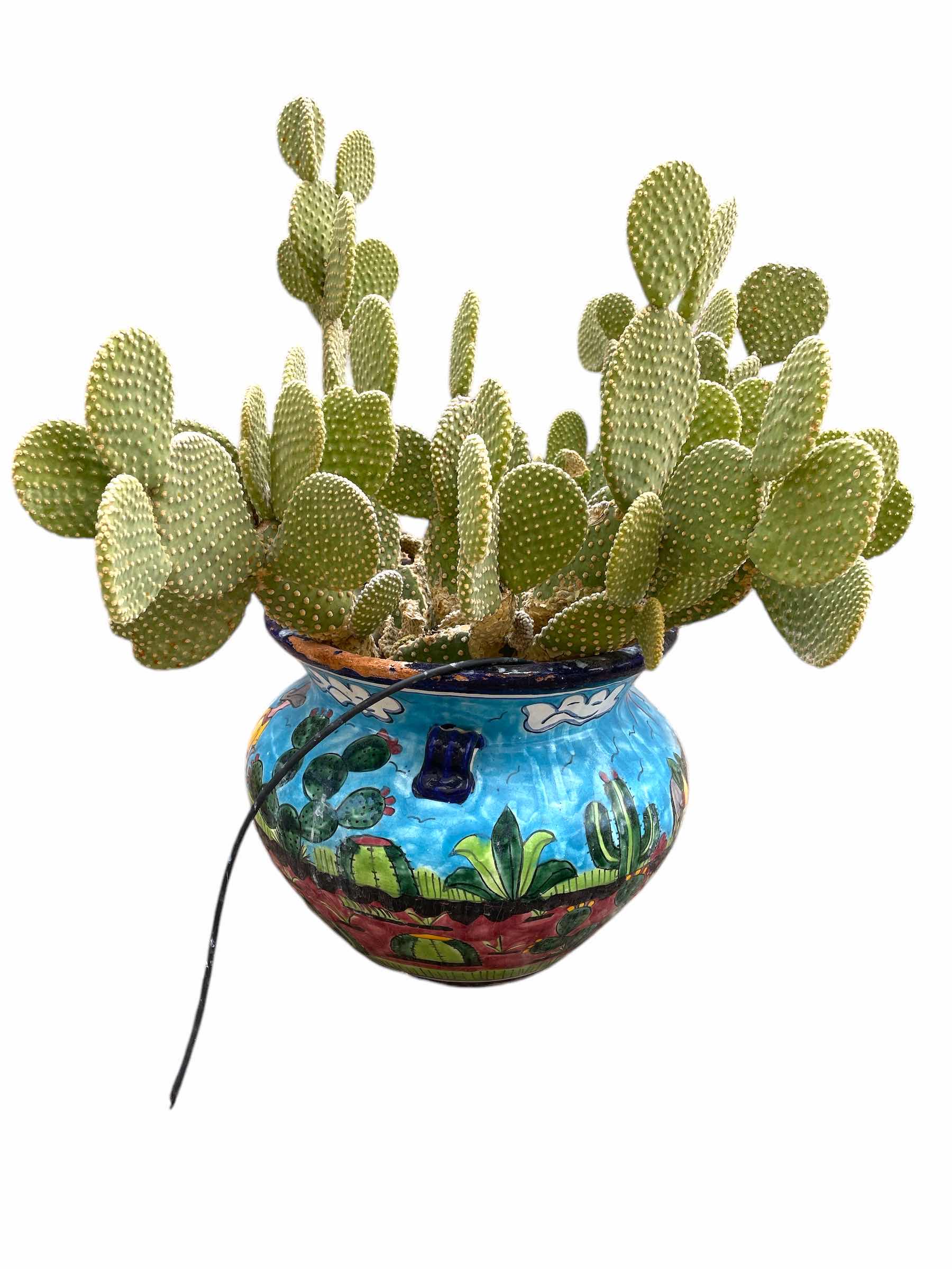 Photo 1 of HAND PAINTED POTTERY PLANTER 16”xH16”