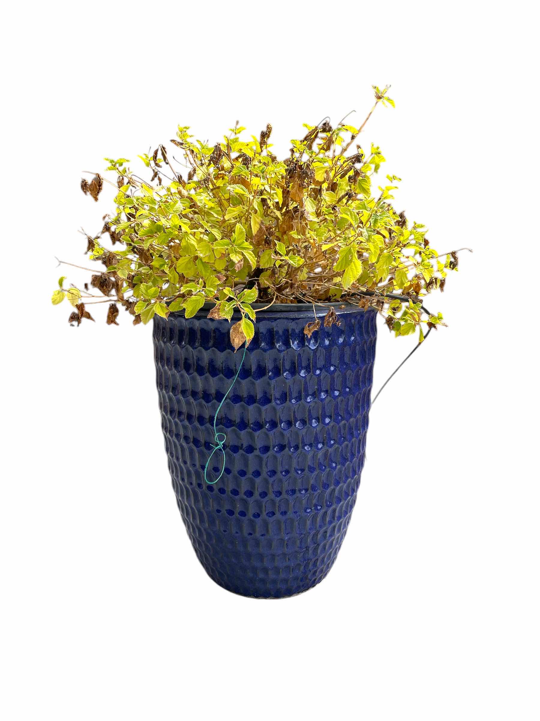 Photo 1 of CERAMIC PLANTERS 16”xH24”