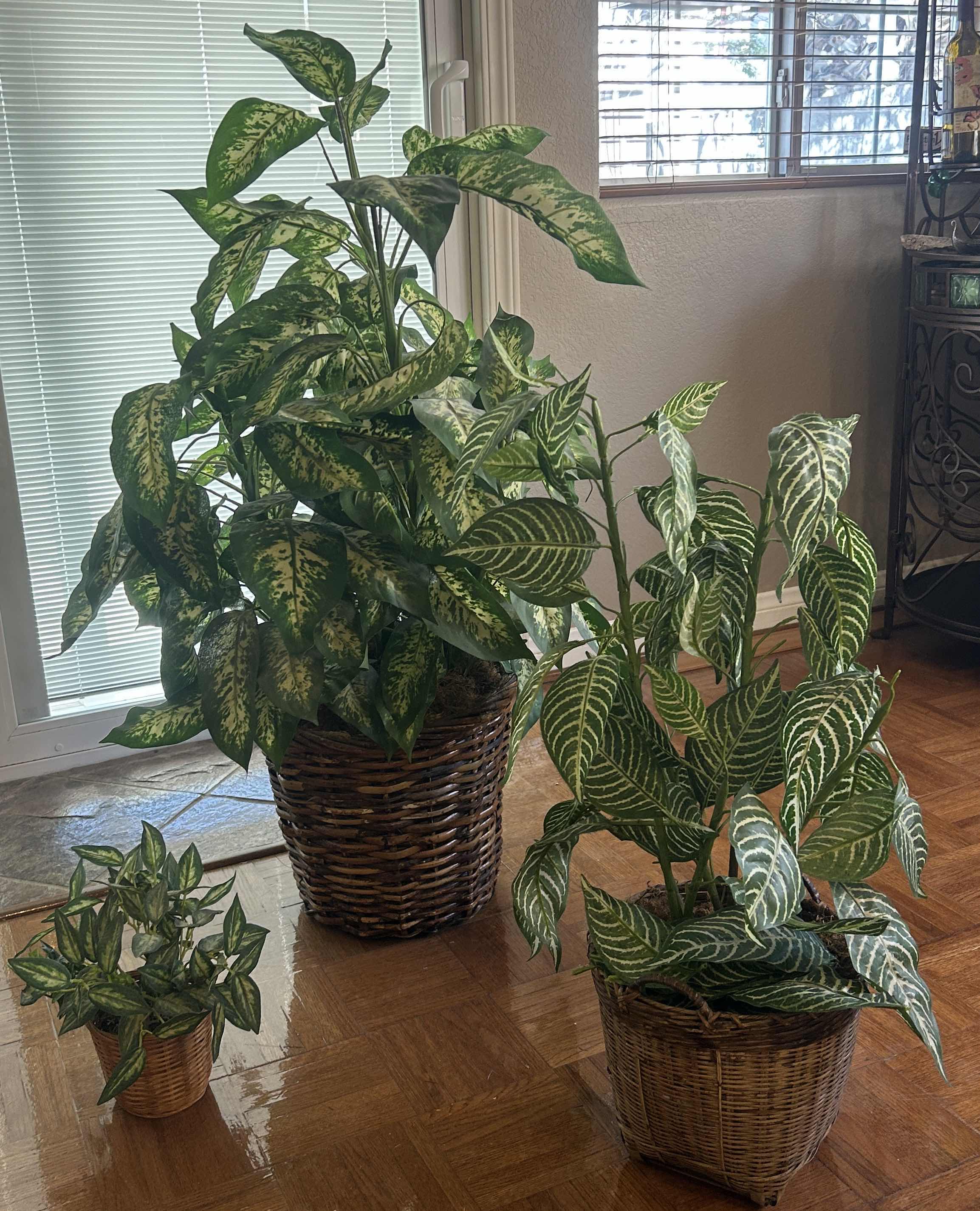 Photo 1 of 3 FAUX PLANTS IN WICKER BASKETS TALLEST H42”