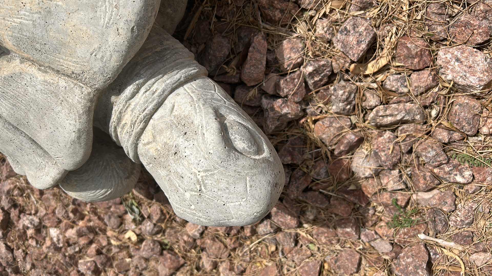 Photo 5 of CEMENT OUTDOOR TURTLE VERY HEAVY SOME MINOR CRACKS