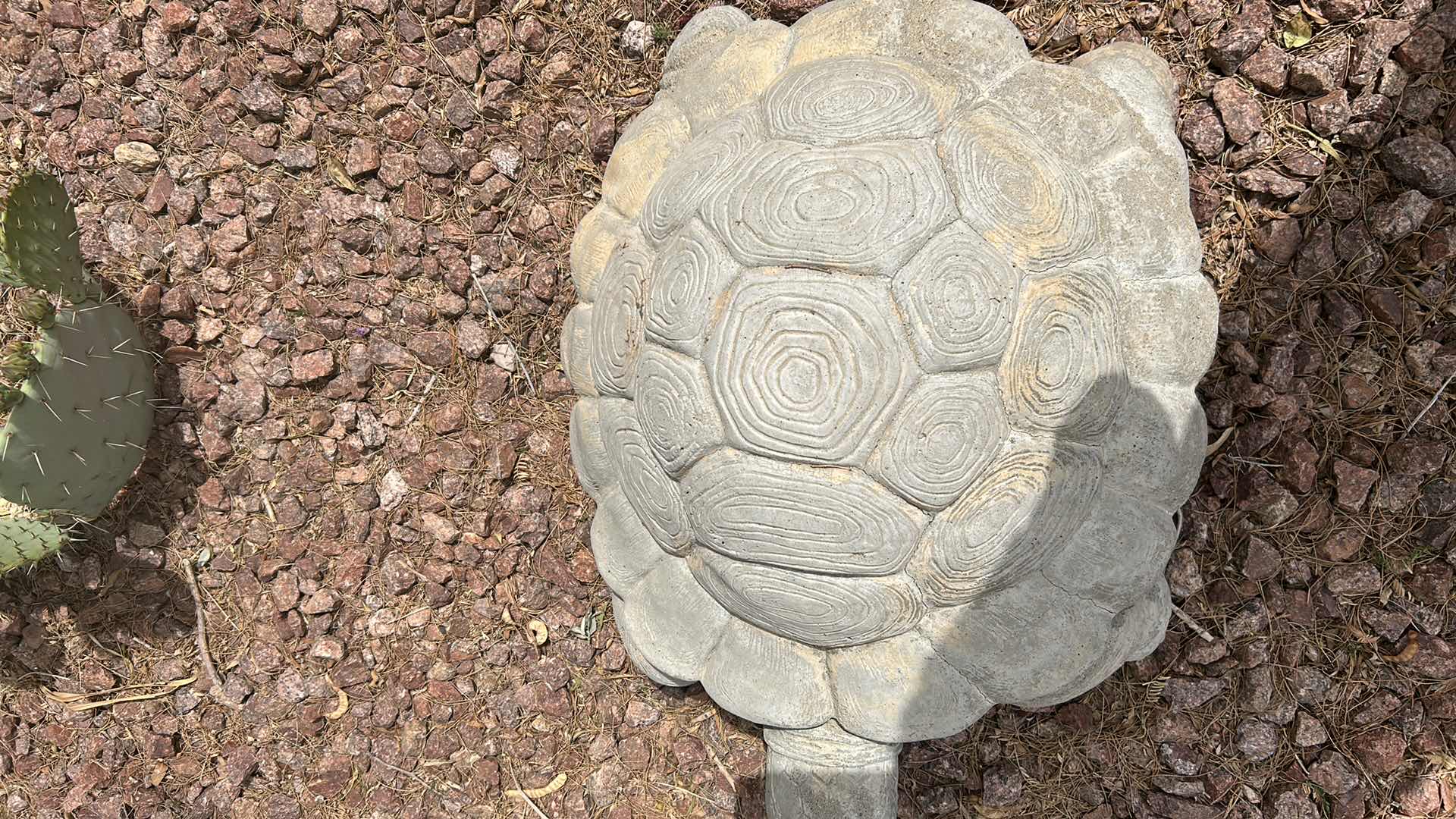 Photo 3 of CEMENT OUTDOOR TURTLE VERY HEAVY SOME MINOR CRACKS