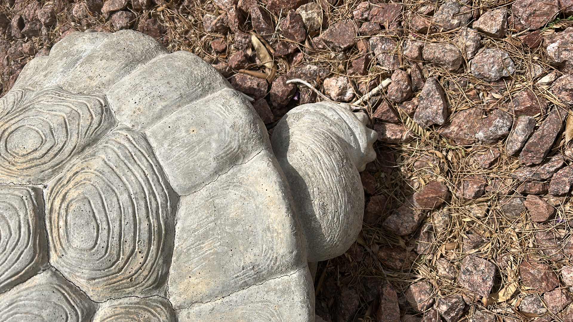 Photo 4 of CEMENT OUTDOOR TURTLE VERY HEAVY SOME MINOR CRACKS