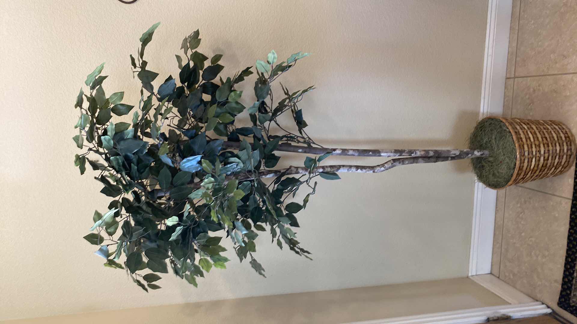 Photo 1 of FAUX  FICUS TREE H72”