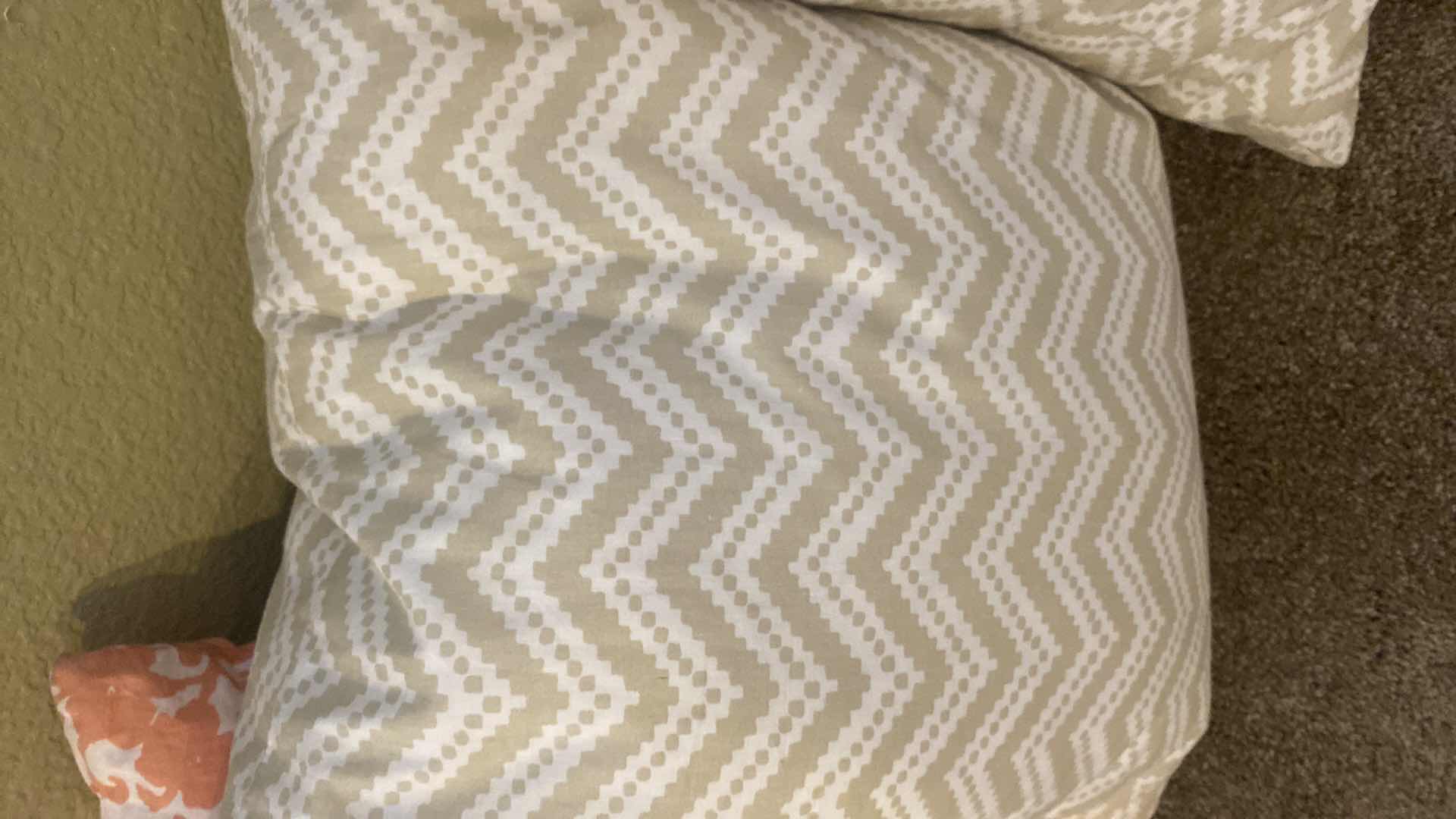 Photo 1 of 4-TOSS PILLOWS 18” x 18”