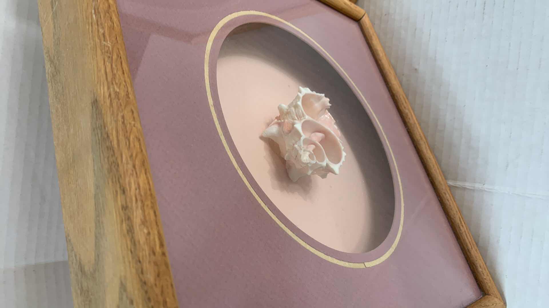 Photo 1 of 2-SHELL INSPIRED PIECES OF ARTWORK 13”X 13”