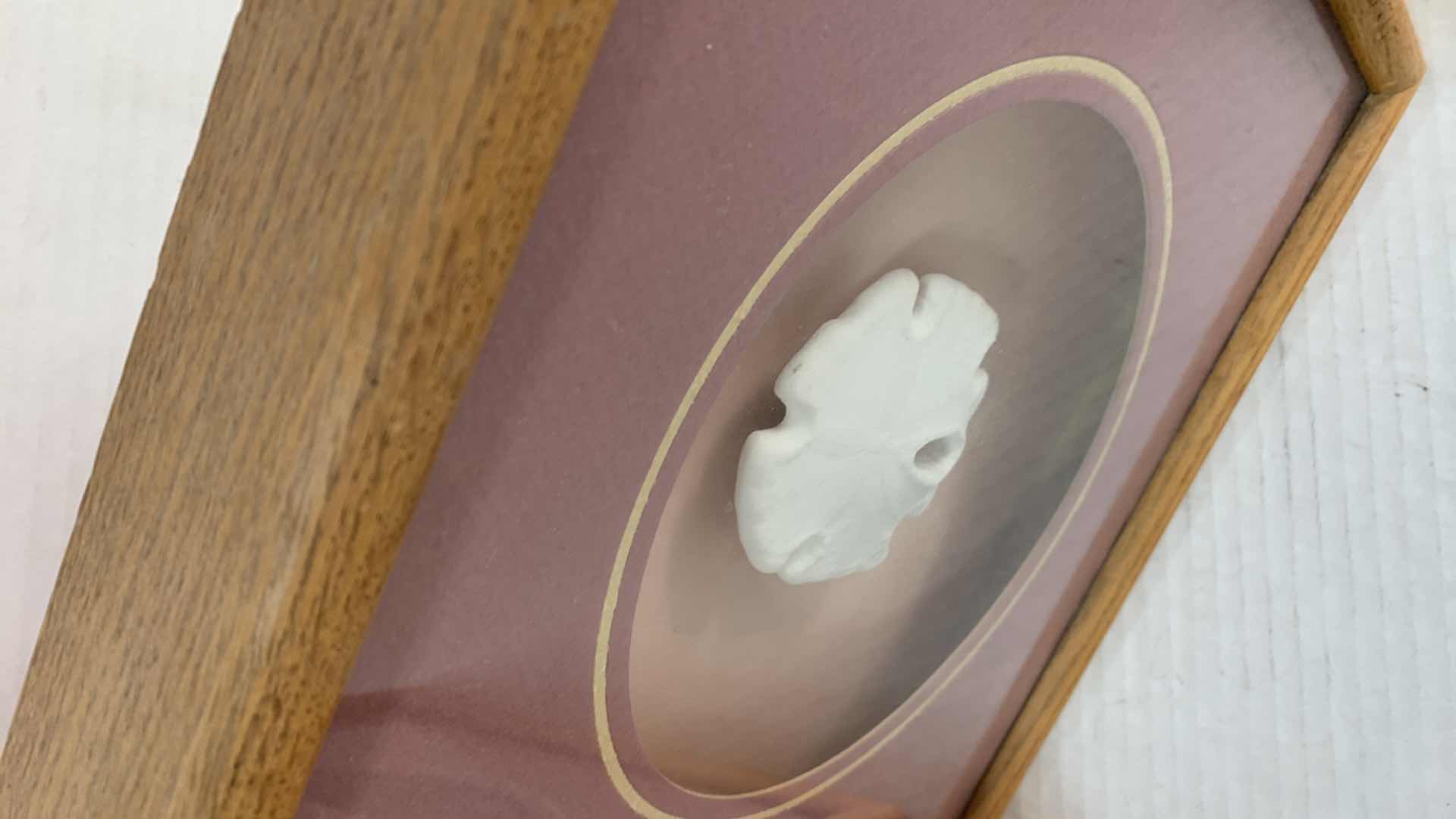 Photo 1 of 2-SHELL INSPIRED PIECES OF ARTWORK 13”X 13”