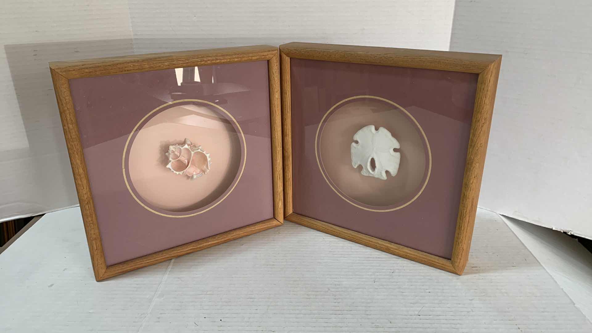 Photo 1 of 2-SHELL INSPIRED PIECES OF ARTWORK 13”X 13”