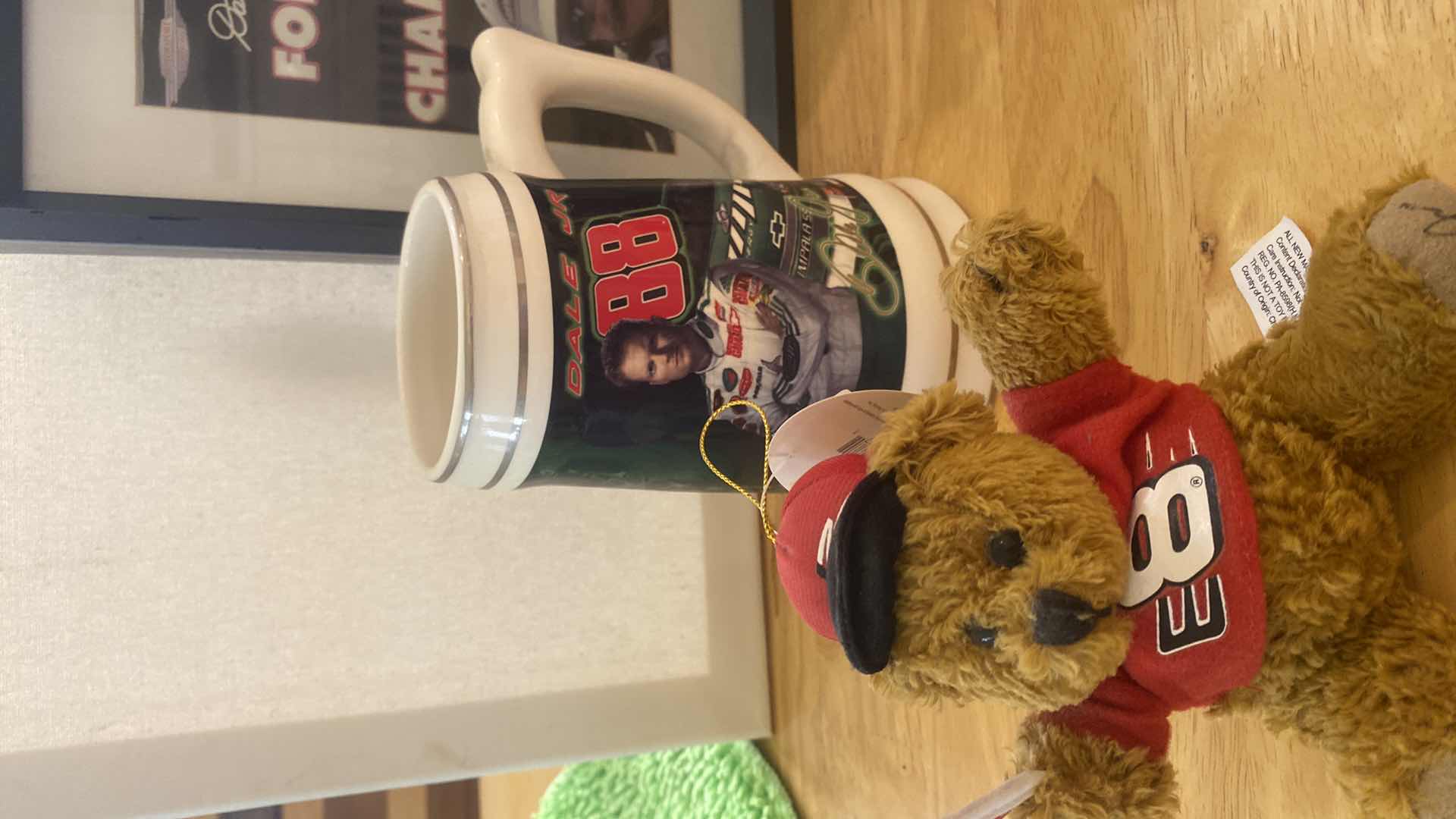 Photo 1 of 6 - DALE EARNHARDT JR.COLLECTIBLES - MUGS BEARS & MORE FRAMED PHOTO 8 1/2” x 10 1/2”