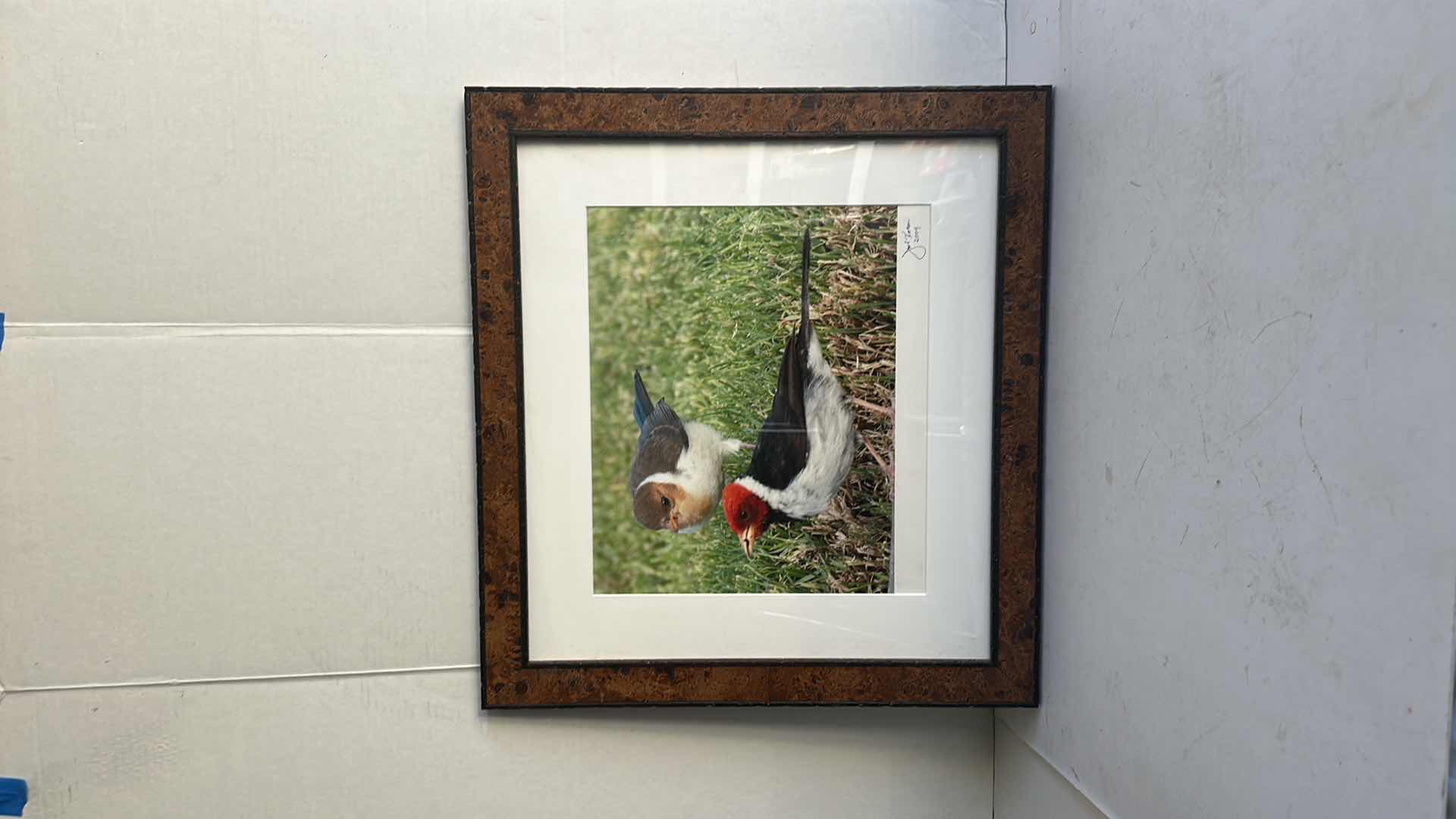 Photo 1 of FRAMED "BIRDS" ARTWORK-ARTIST SIGNED 21”X20”