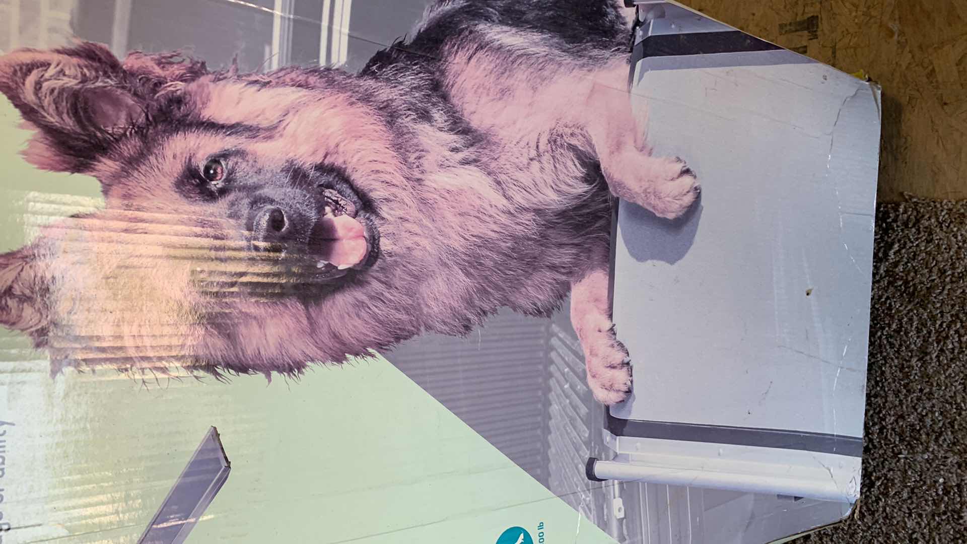 Photo 1 of NEW PETSAFE HAPPY RIDE EXTRA LONG TELESCOPING DOG RAMP