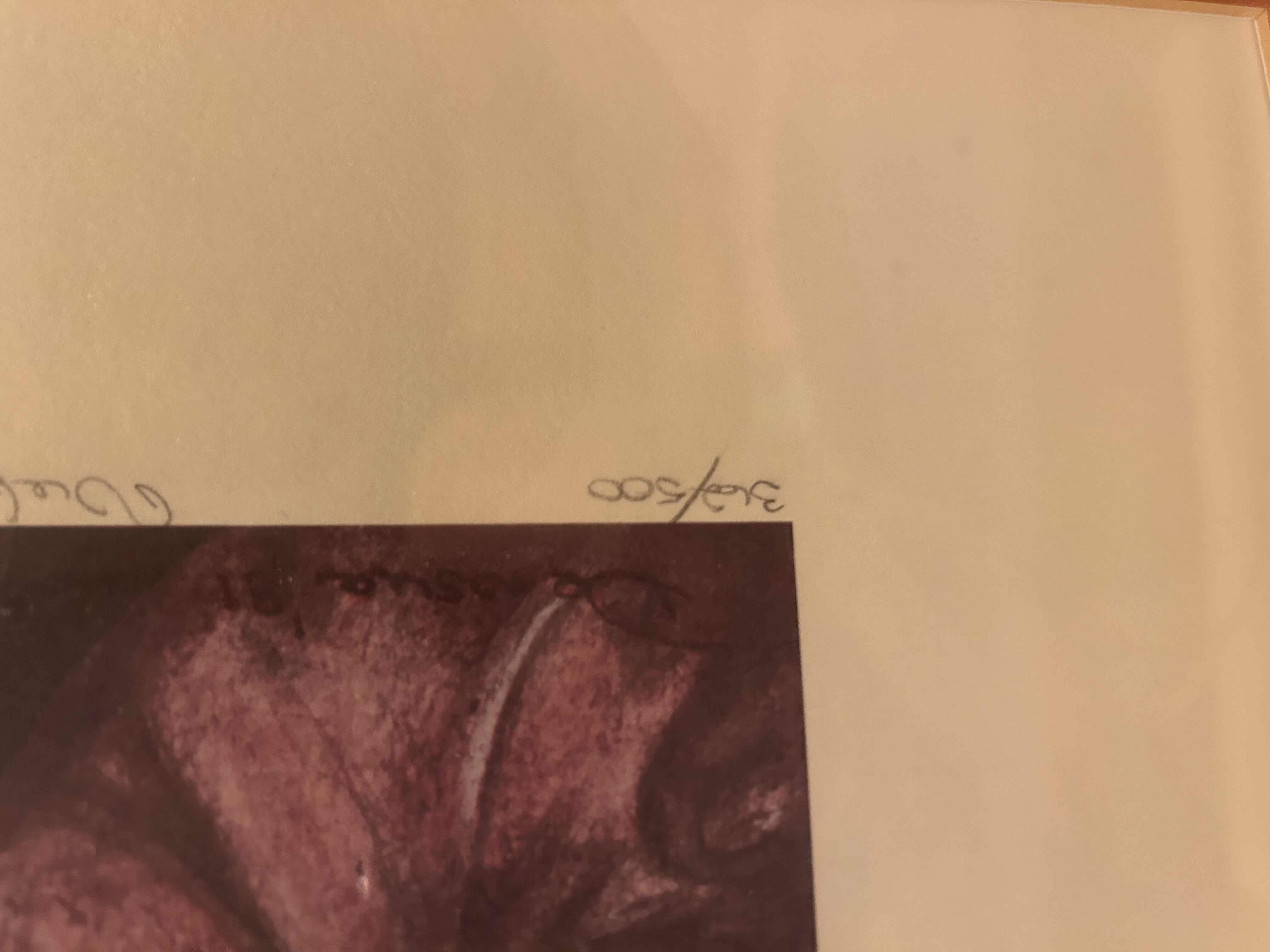 Photo 1 of FRAMED "MASK" ORIGINAL PASTEL NUMBERED & SIGNED ARTWORK 29” X 36”

STAND NOT INCLUDED