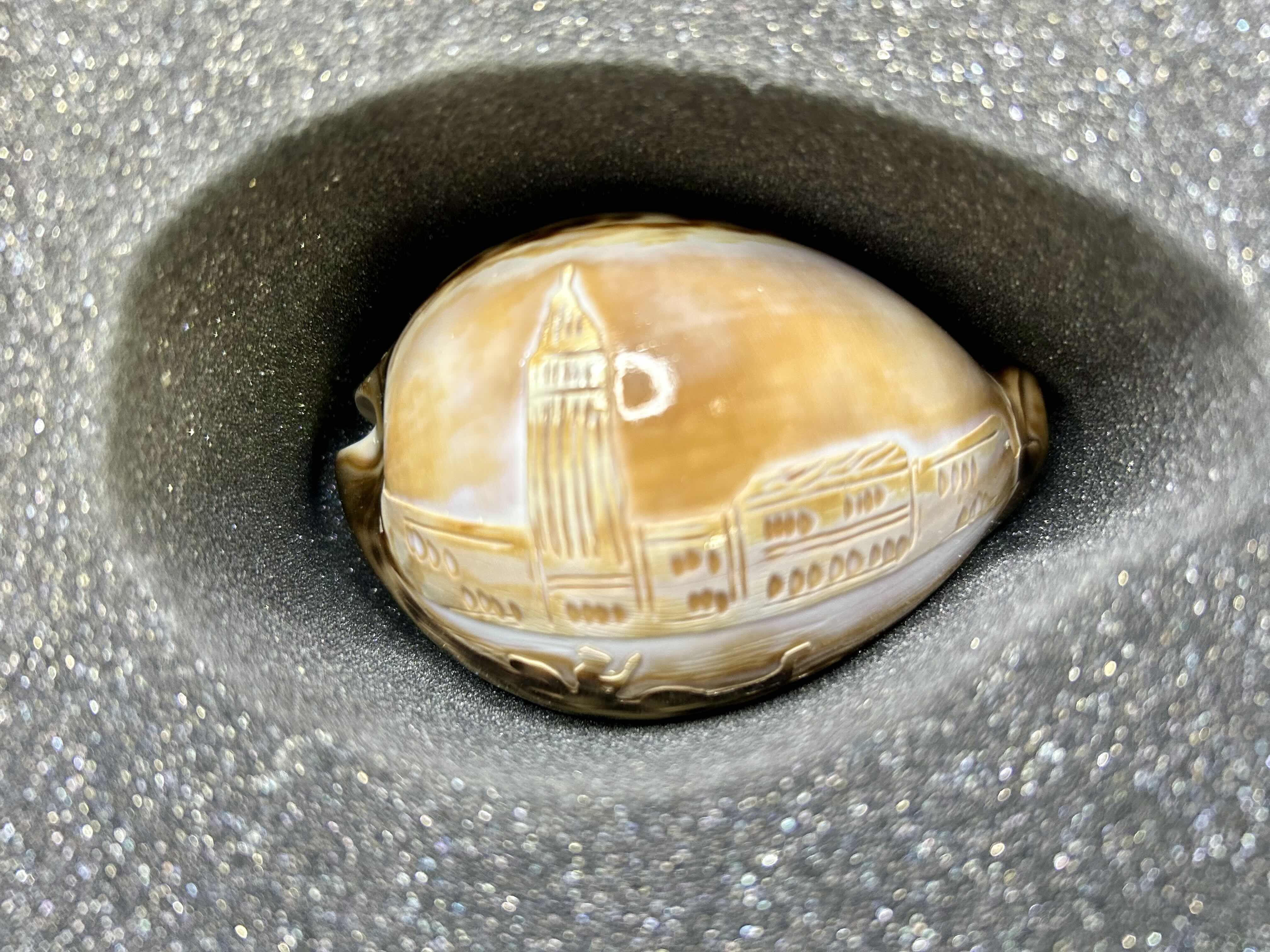 Photo 1 of NIB ENGRAVED LANDSCAPE ON TIGER COWRIE SHELL, MADE IN ITALY