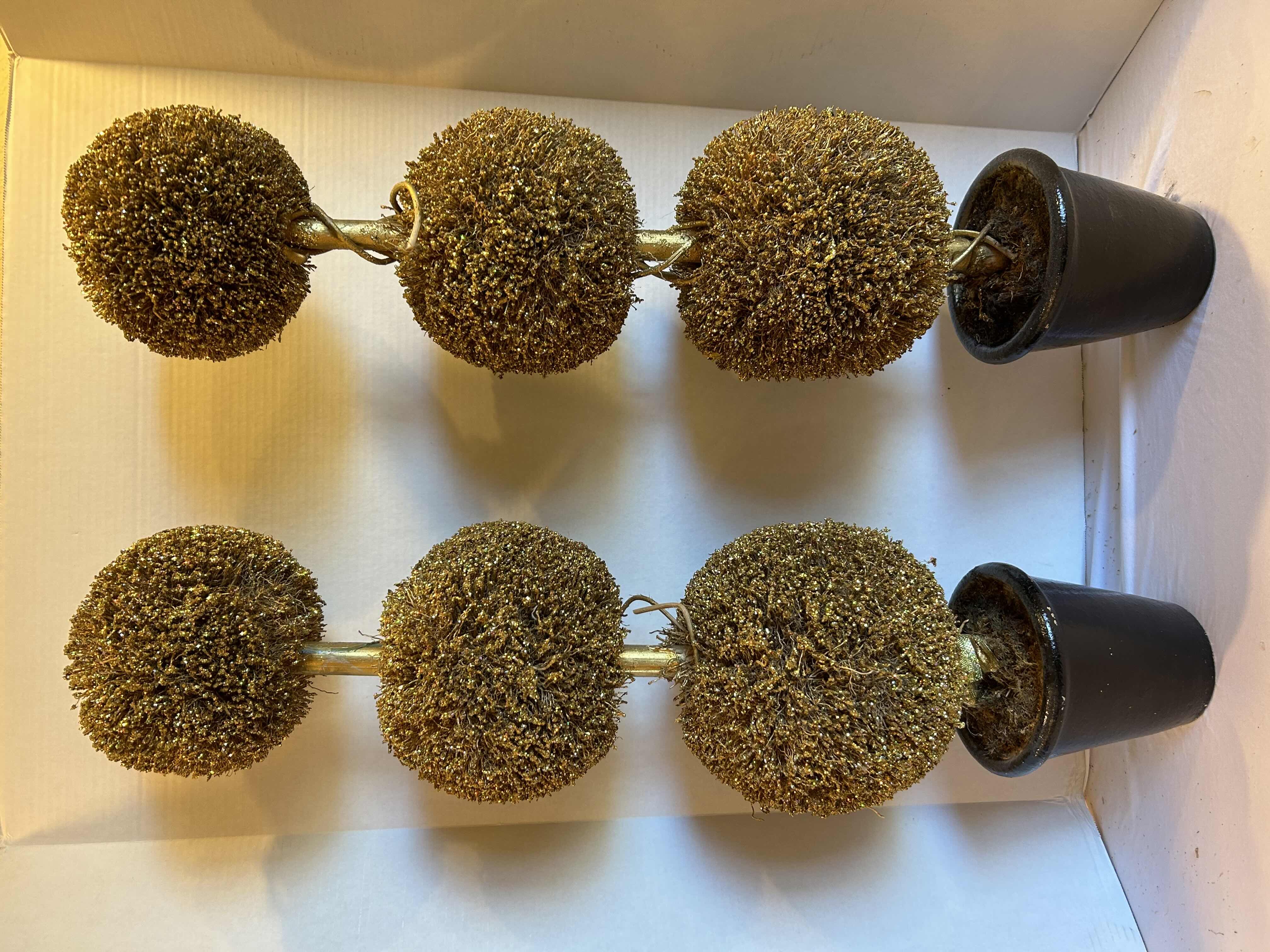 Photo 1 of 2- 34” GOLD TOPIARIES IN BLACK CERAMIC POTS
