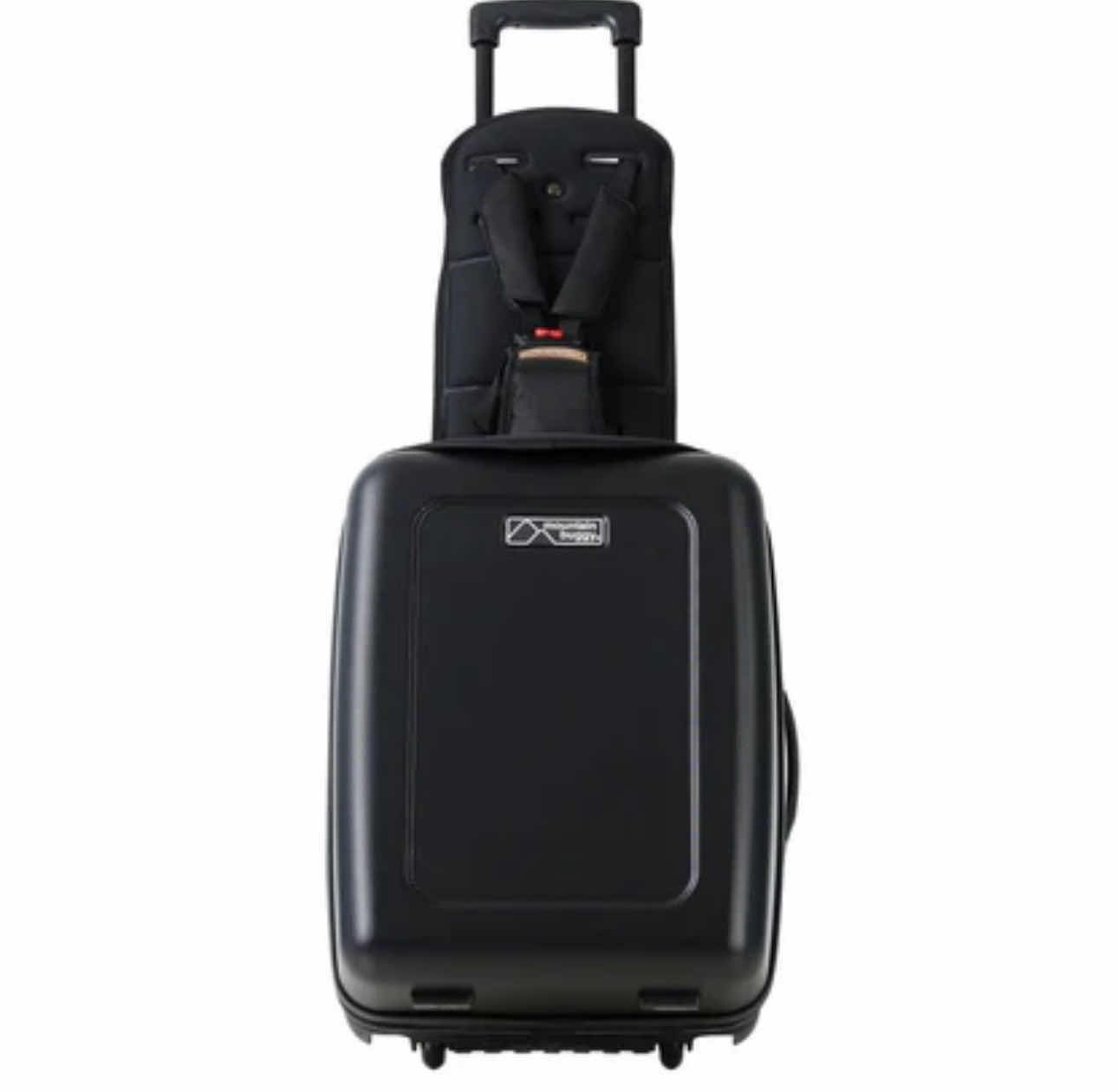 Photo 1 of BRAND NEW MOUNTAIN BUGGY BAGRIDER (BLACK)