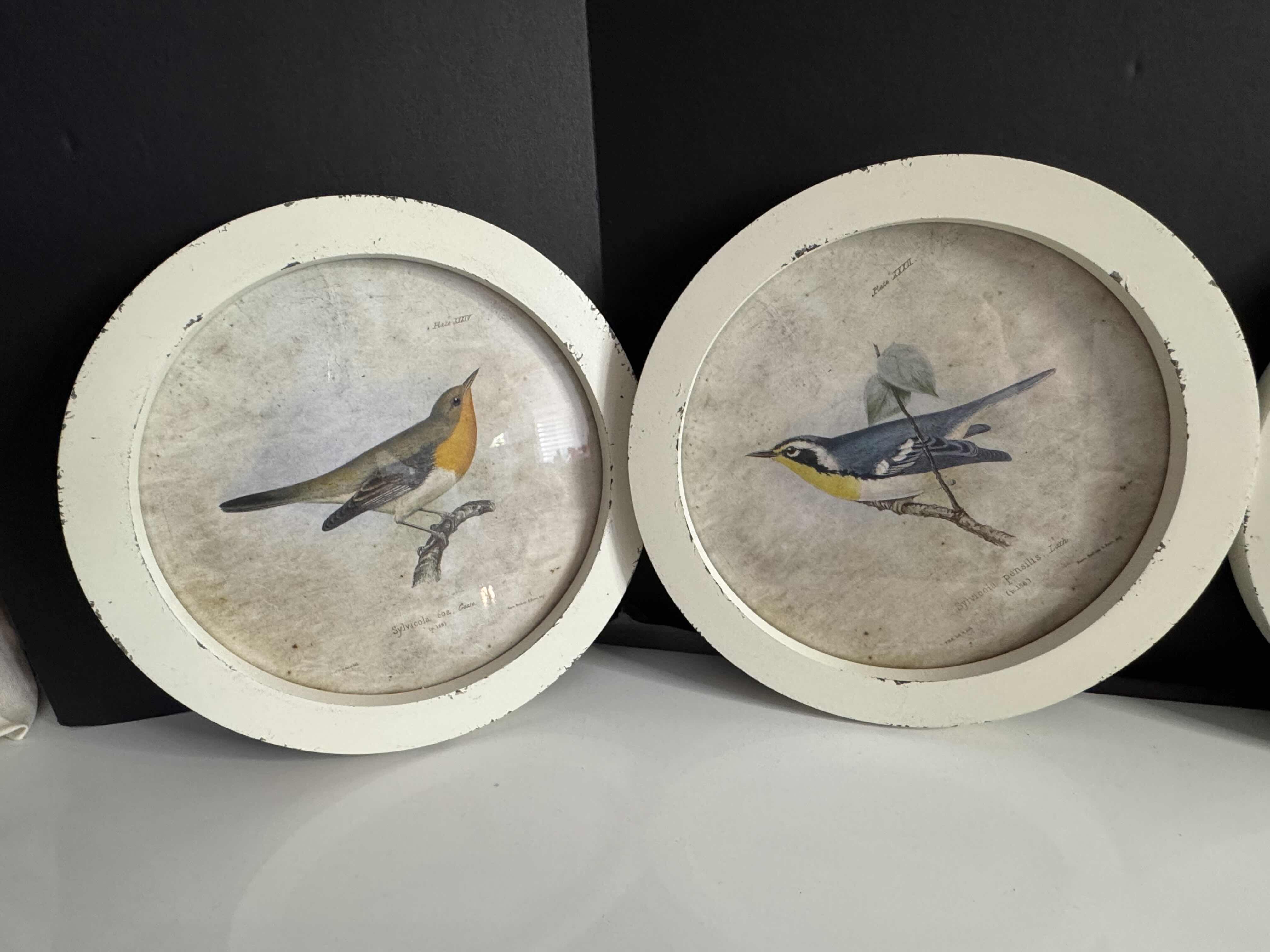 Photo 1 of BRAND NEW 4-10” ROUND WOOD FRAMED BIRD PRINTS