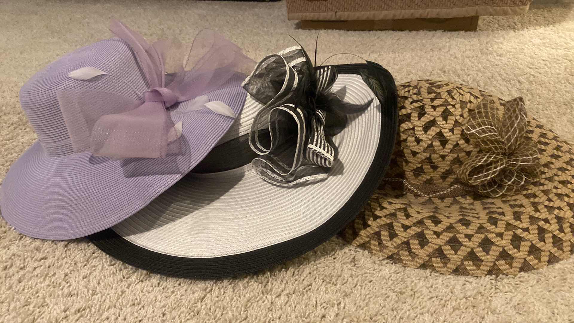 Photo 1 of 3 LADIES HATS