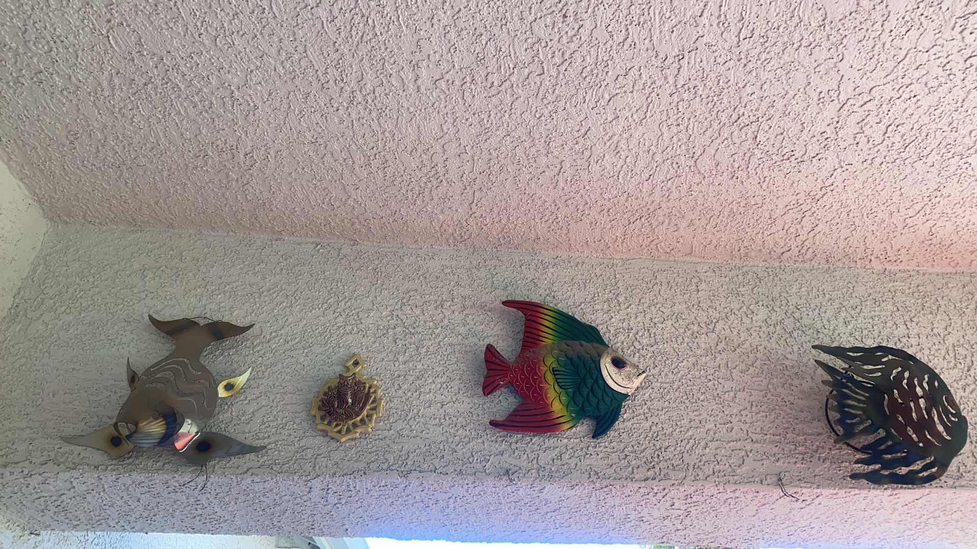 Photo 1 of ASSORTED FISH ON STUCCO PATIO