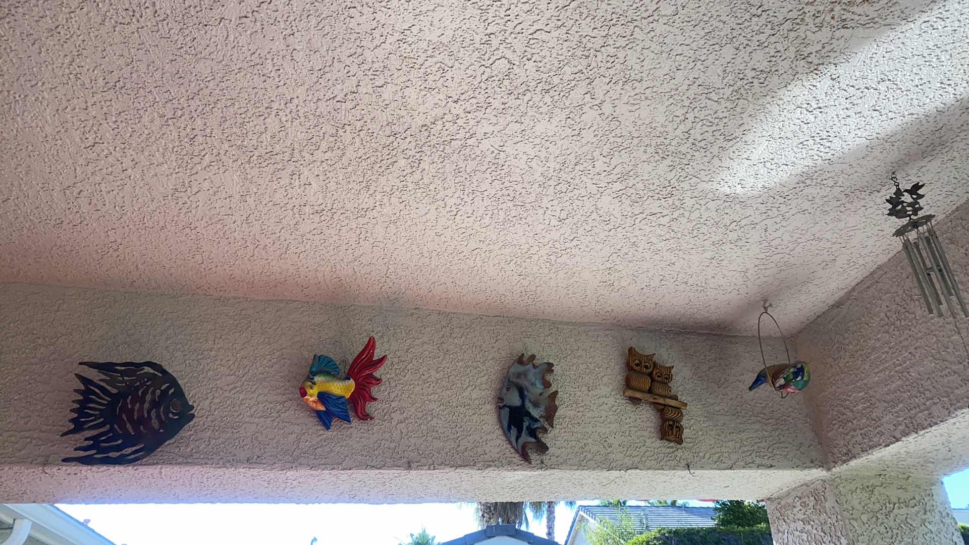 Photo 1 of ASSORTED FISH ON STUCCO PATIO