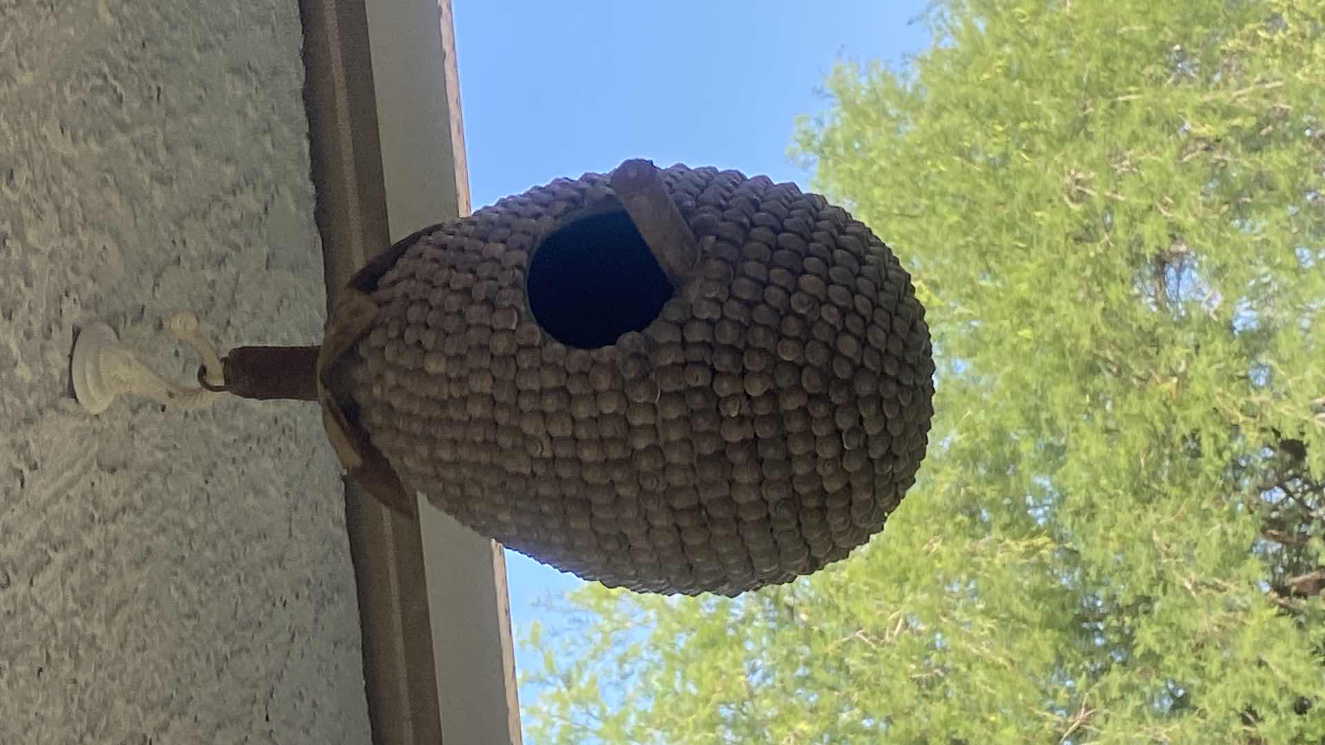 Photo 1 of HANGING ITEMS ON STUCCO PATIO SEE PICTURES