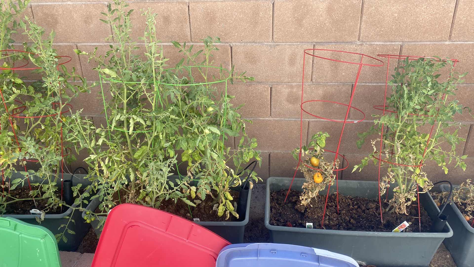 Photo 1 of 7 SELF WATERING CONTAINERS SOME WITH PLANTS 29” x 14” x 10”