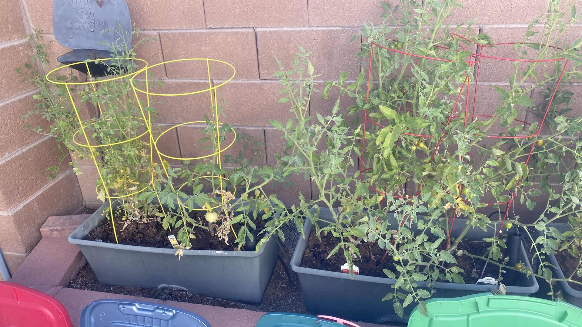 Photo 1 of 7 SELF WATERING CONTAINERS SOME WITH PLANTS 29” x 14” x 10”