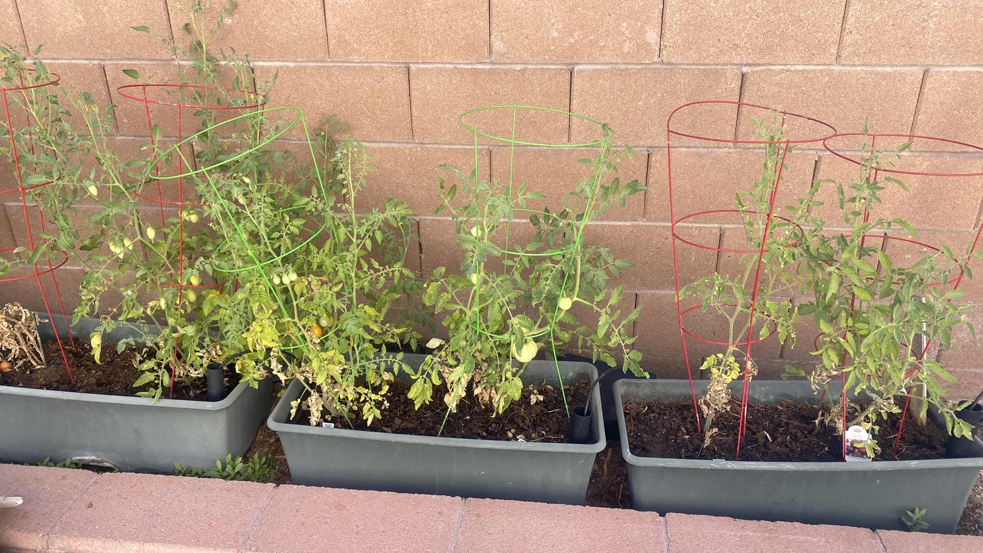 Photo 1 of 7 SELF WATERING CONTAINERS SOME WITH PLANTS 29” x 14” x 10”