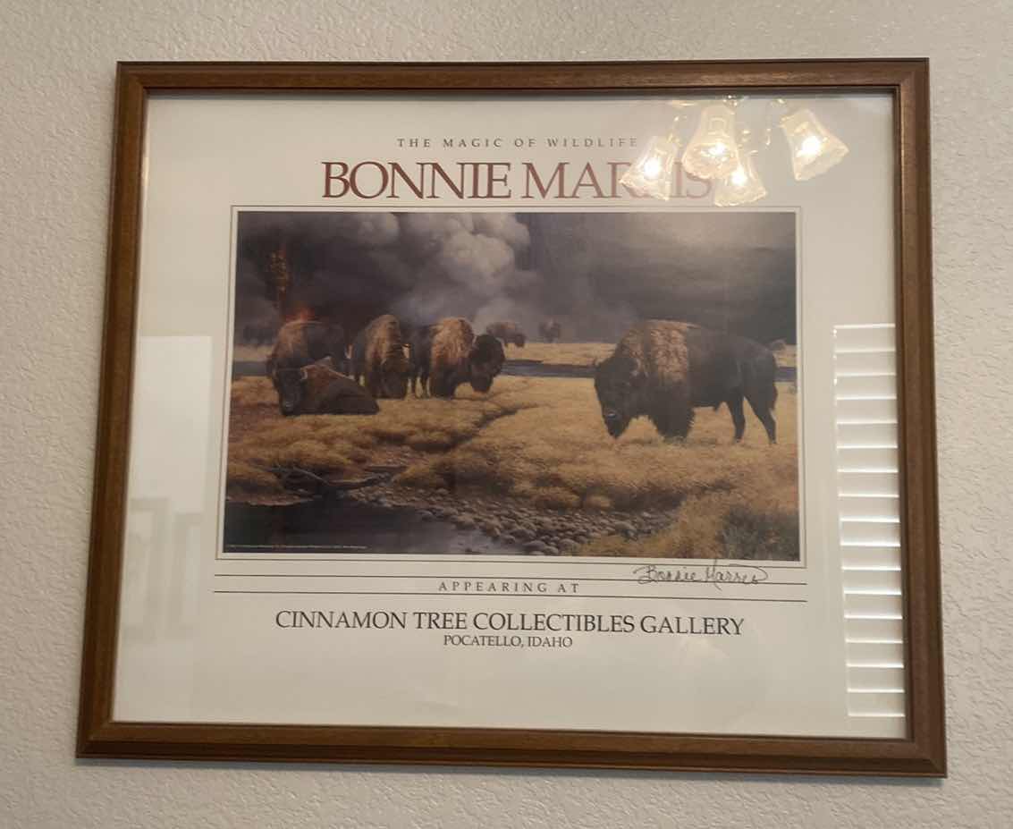 Photo 1 of FRAMED WILDLIFE PHOTOGRAPHY SIGNED PRINT 26” X 21”