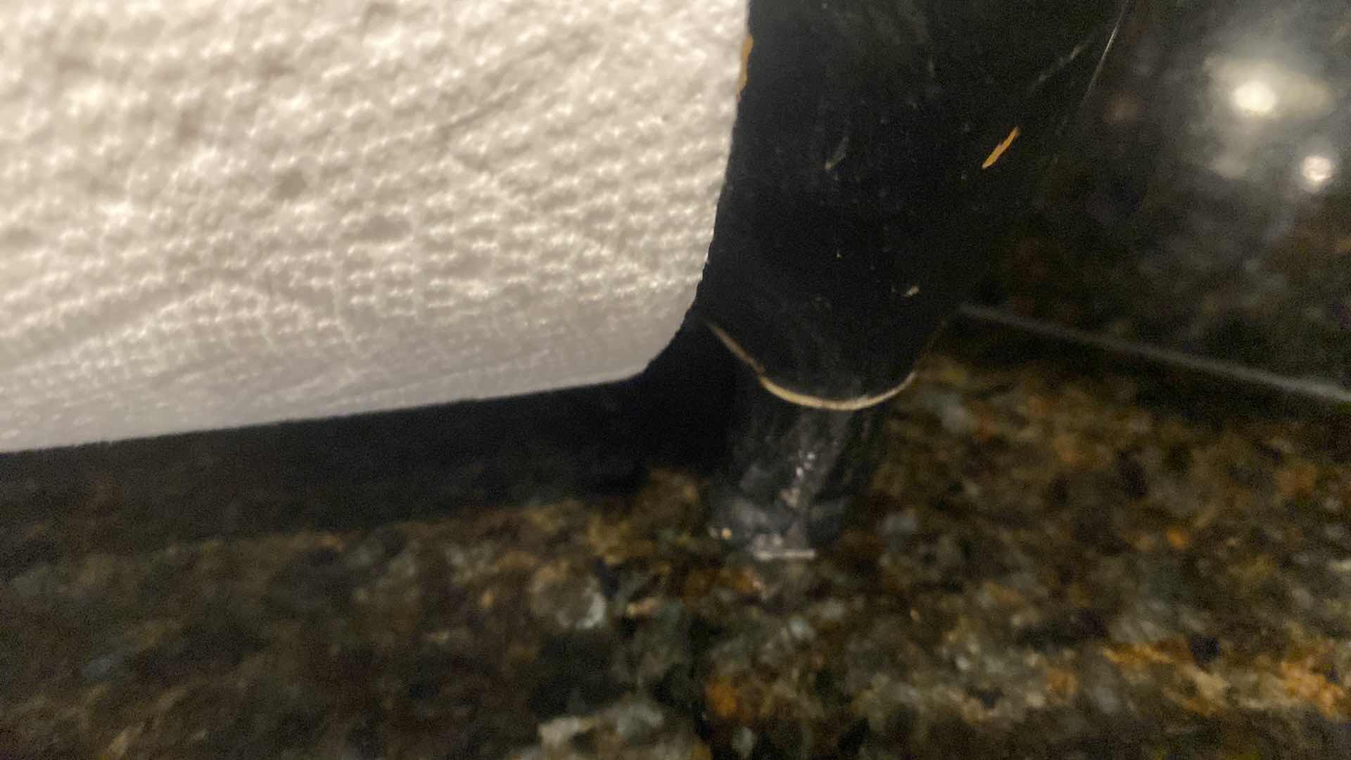 Photo 1 of PIG PAPER TOWEL HOLDER MORTAR & PESTAL CUTTING BOARD