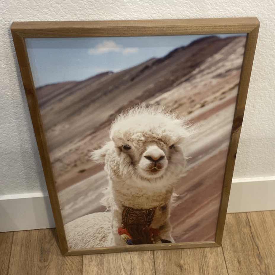 Photo 1 of PAIR OF WOOD FRAMED LAMA PHOTOGRAPHS ARTWORK  LARGEST 24” x 24”