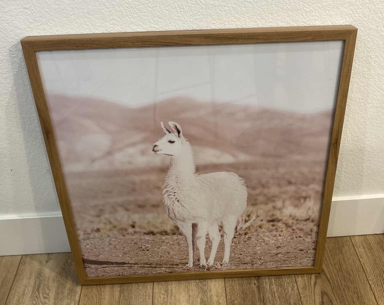 Photo 1 of PAIR OF WOOD FRAMED LAMA PHOTOGRAPHS ARTWORK  LARGEST 24” x 24”