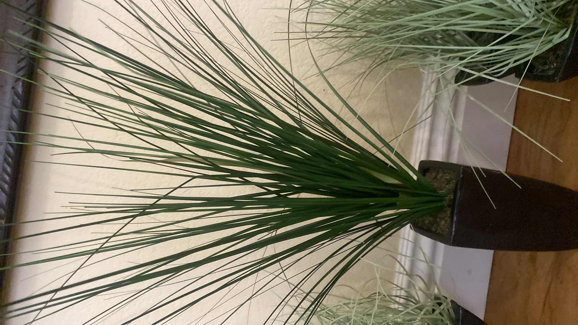 Photo 1 of 4-Faux  PlANTS IN CERAMIC POTS LARGEST H 29”