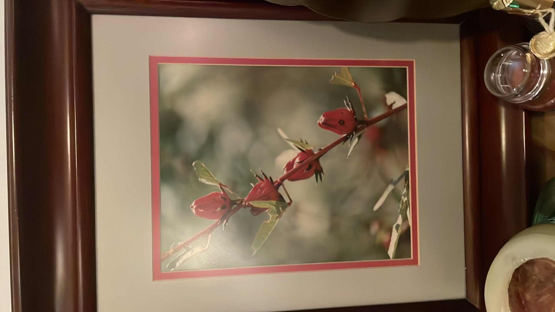 Photo 1 of FRAMED PORTRAIT 16”x20”