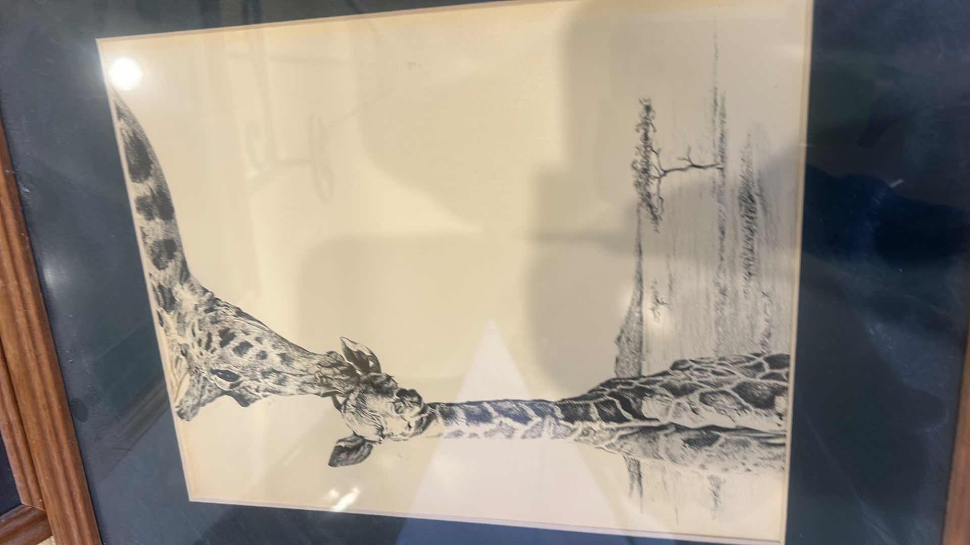 Photo 1 of 4 - FRAMED BLACK AND WHITE ANIMAL ARTWORK. 12” x H 15”