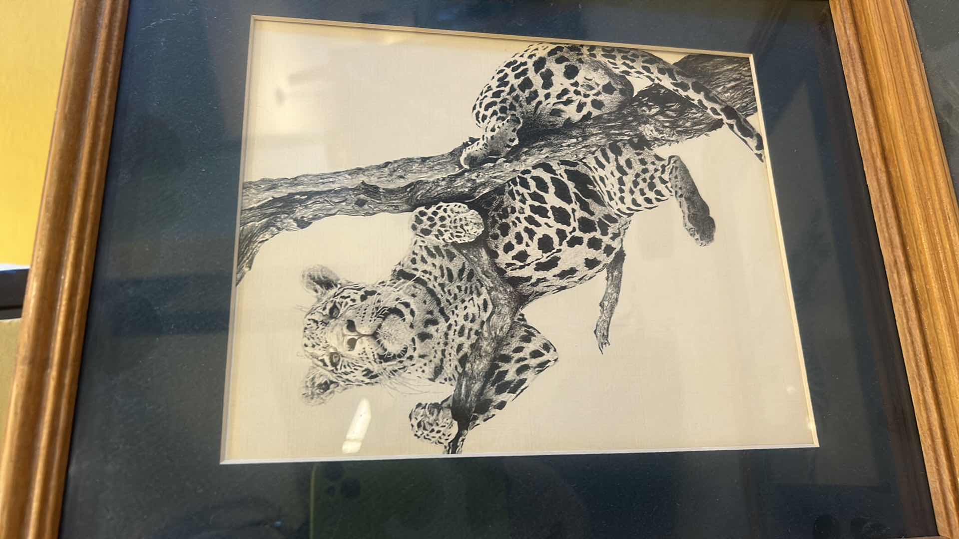 Photo 1 of 4 - FRAMED BLACK AND WHITE ANIMAL ARTWORK. 12” x H 15”