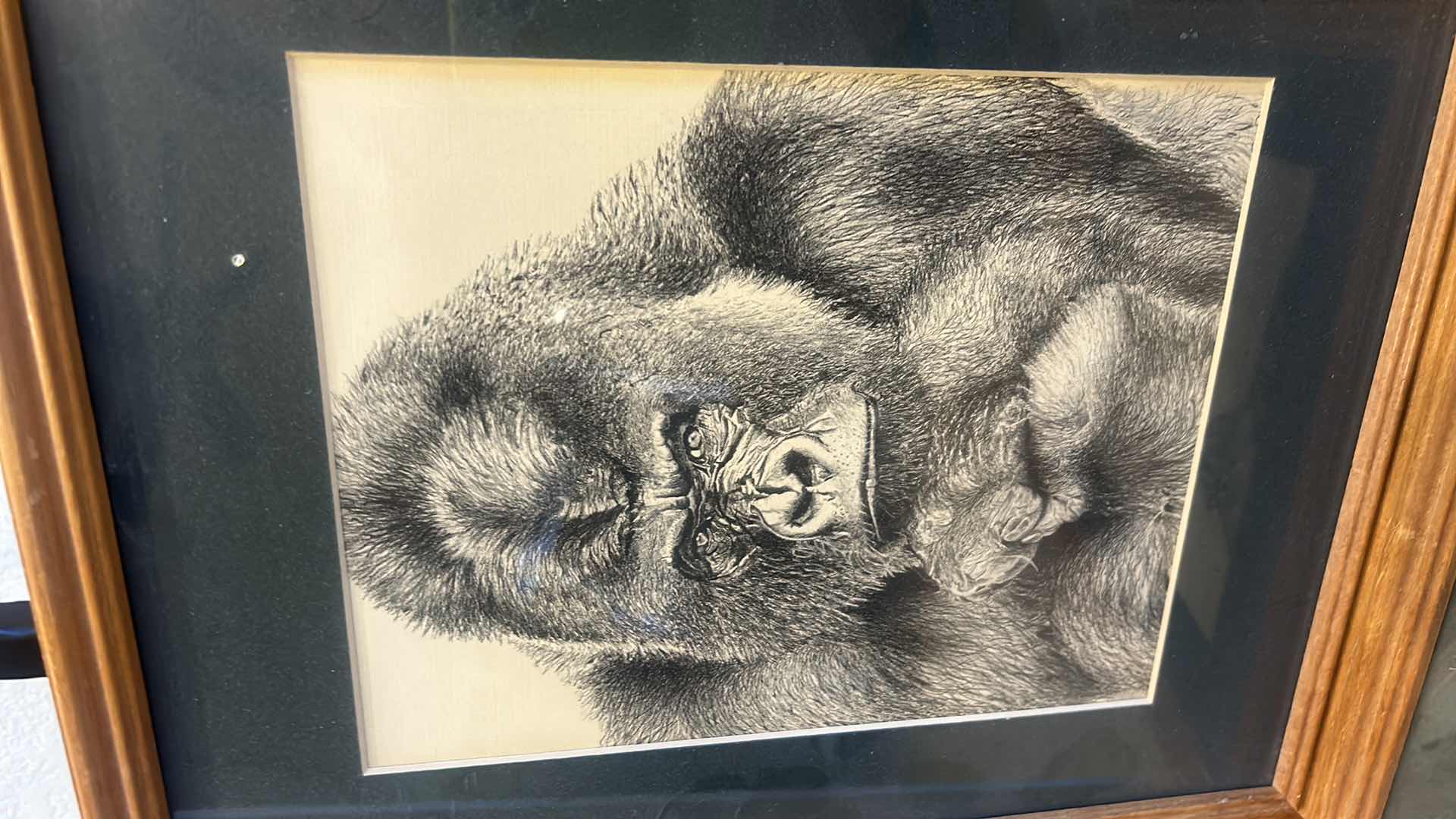 Photo 1 of 4 - FRAMED BLACK AND WHITE ANIMAL ARTWORK. 12” x H 15”