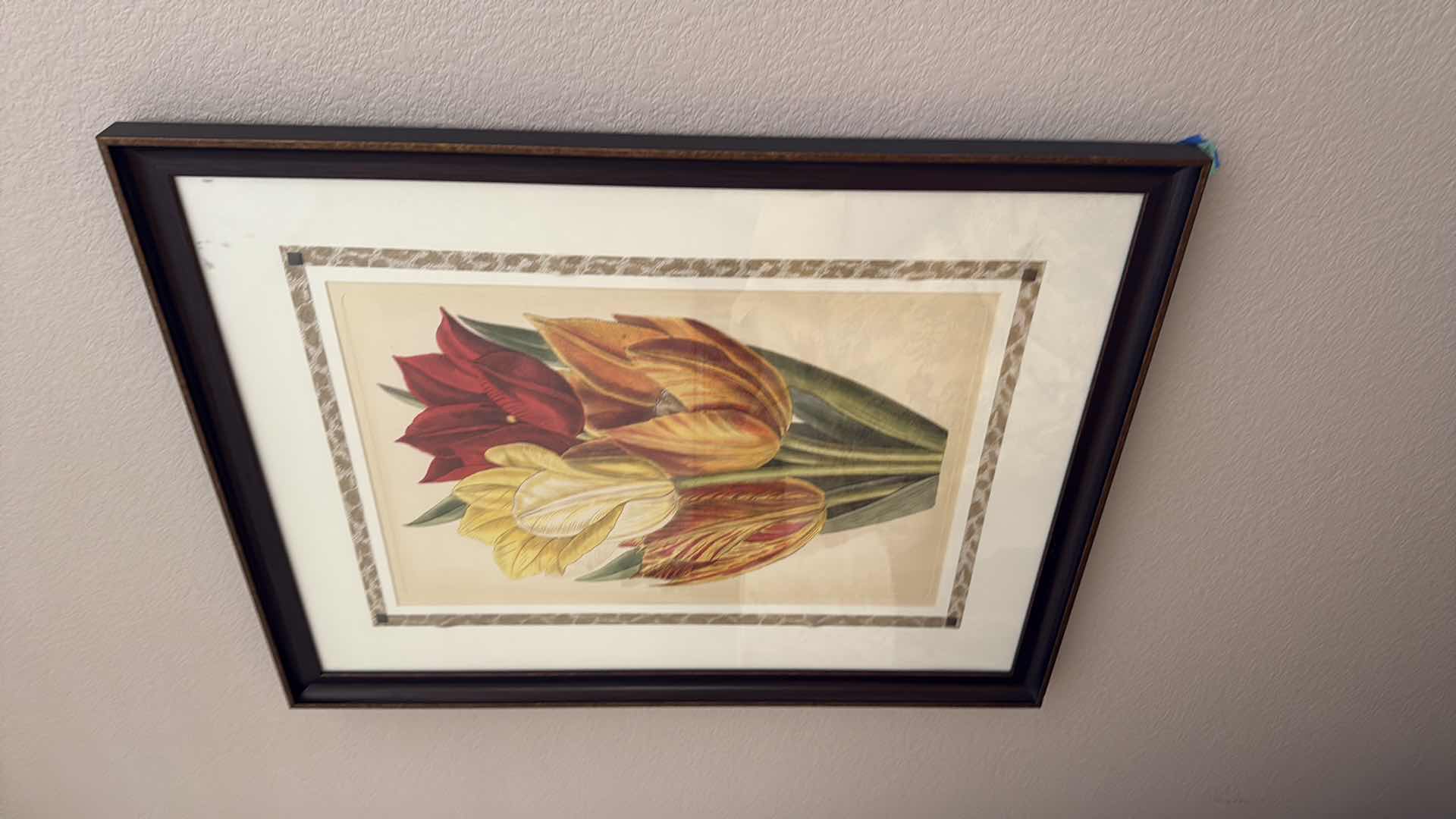 Photo 1 of FRAMED TULIP ARTWORK 27” x 35”