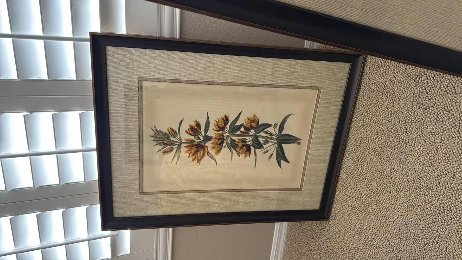 Photo 1 of FRAMED YELLOW CURTIS BOTANICAL ARTWORK 27” x 34”