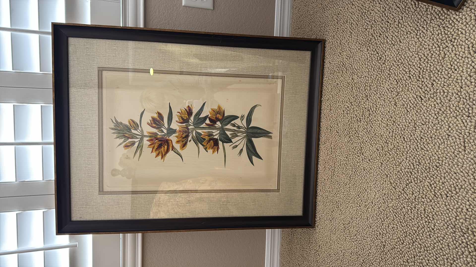 Photo 1 of FRAMED YELLOW CURTIS BOTANICAL ARTWORK 27” x 34”