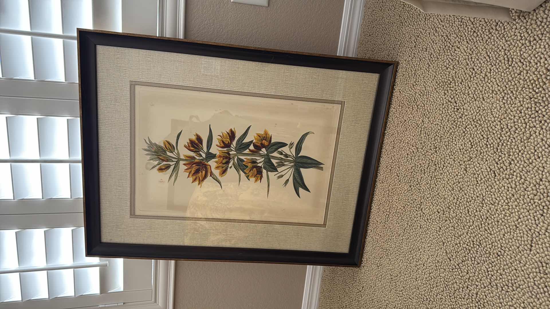 Photo 1 of FRAMED YELLOW CURTIS BOTANICAL ARTWORK 27” x 34”