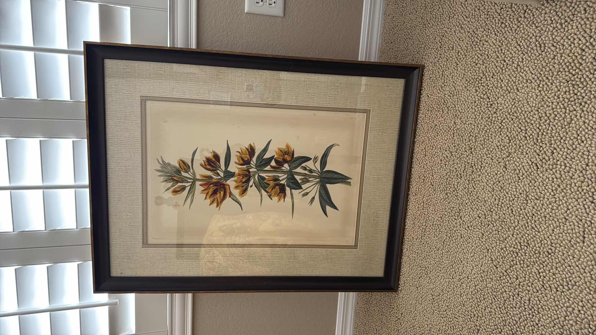 Photo 1 of FRAMED YELLOW CURTIS BOTANICAL ARTWORK 27” x 34”