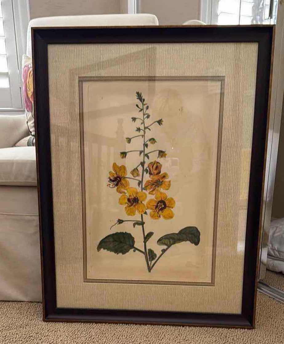 Photo 1 of FRAMED BOTANICAL FLORAL ARTWORK 27” x 34”