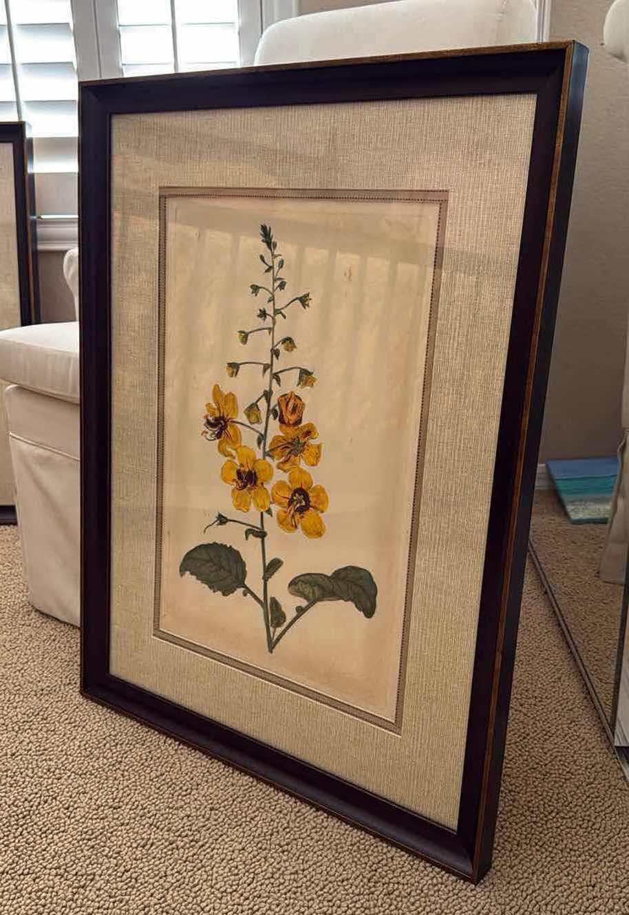 Photo 3 of FRAMED BOTANICAL FLORAL ARTWORK 27” x 34”