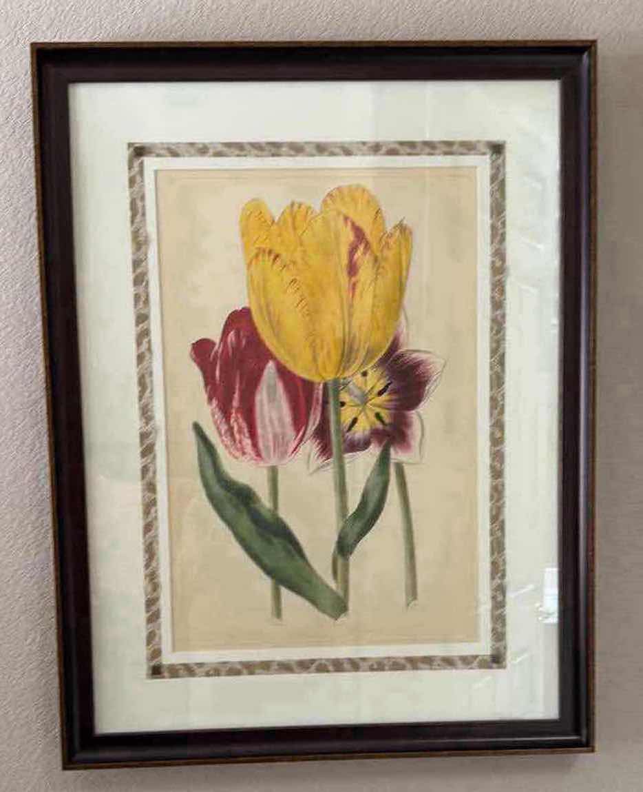 Photo 1 of FRAMED TULIP ARTWORK 27” x 35”