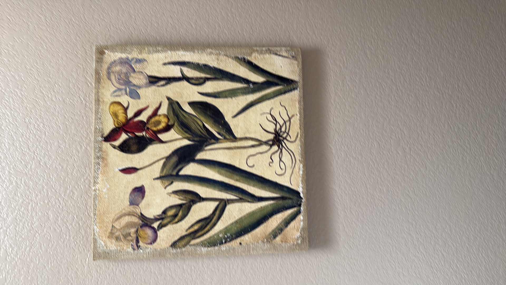 Photo 1 of CANVAS BOTANICAL FLORAL ARTWORK 16” x 16”