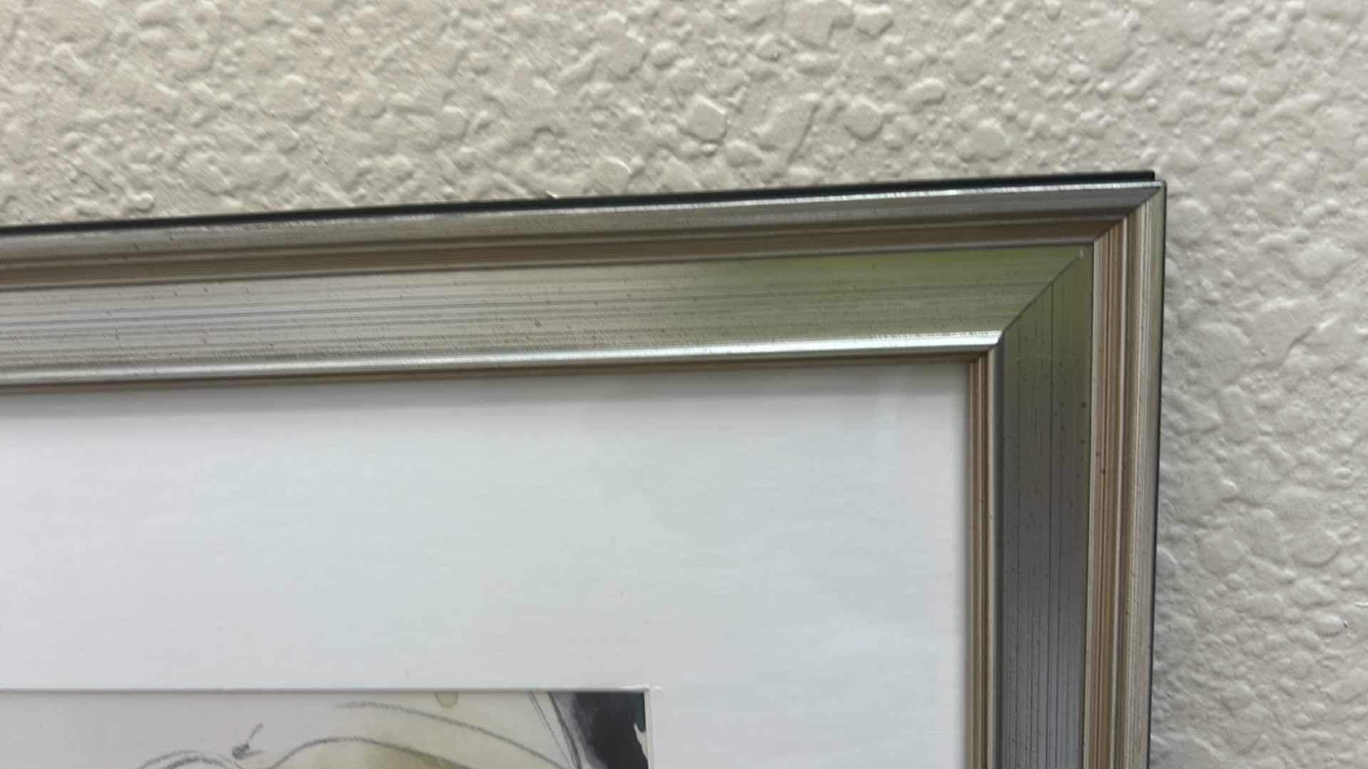 Photo 1 of SILVER FRAMED HAND CRAFTED WATERCOLOR ARTWORK 17 1/2“ x H21 1/2“