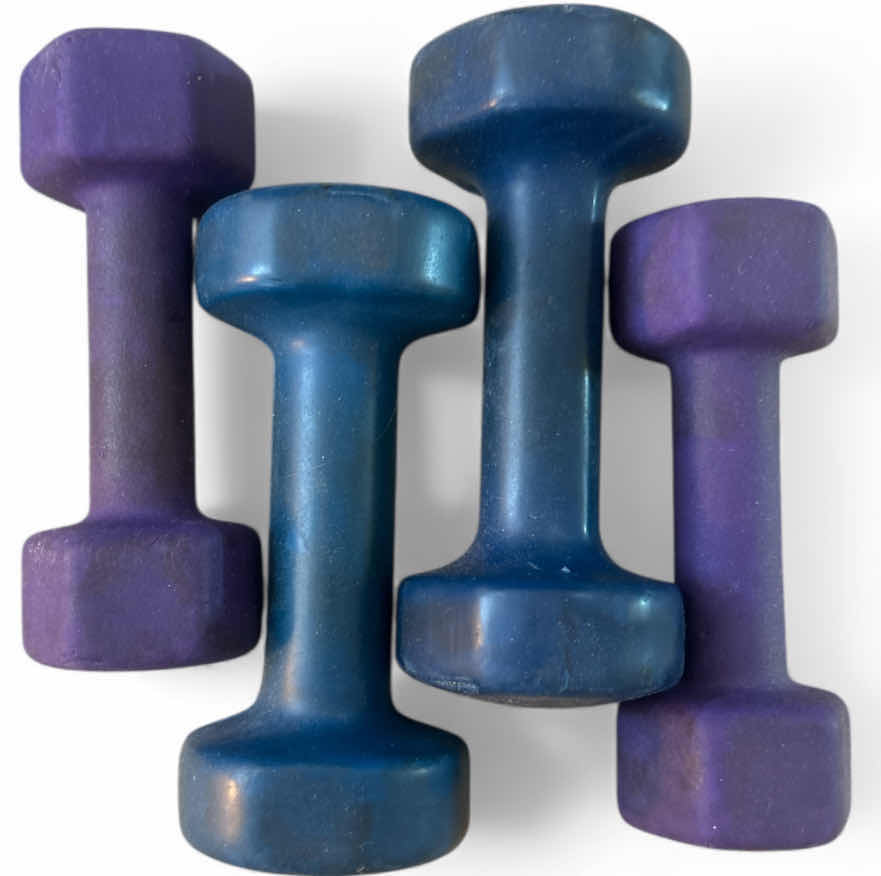 Photo 1 of 4  - 5lb HAND WEIGHTS