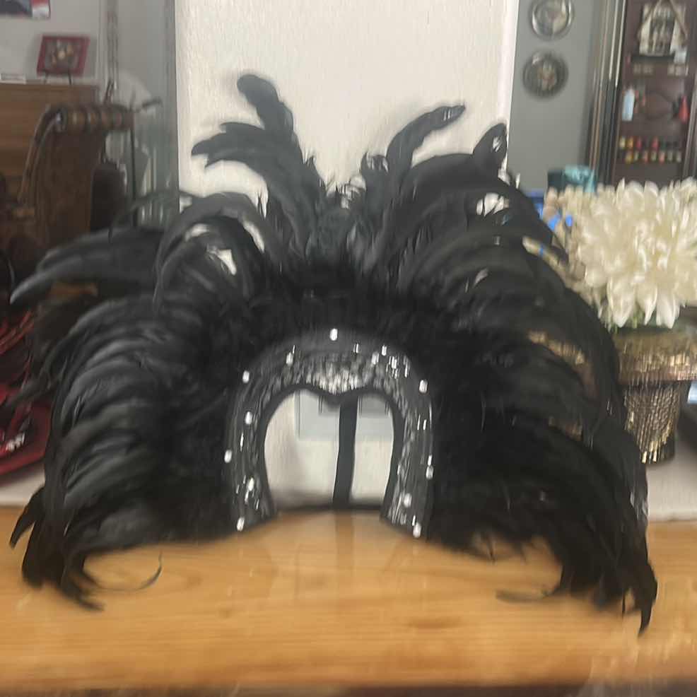 Photo 1 of HAND MADE FEATHER HEADPIECE