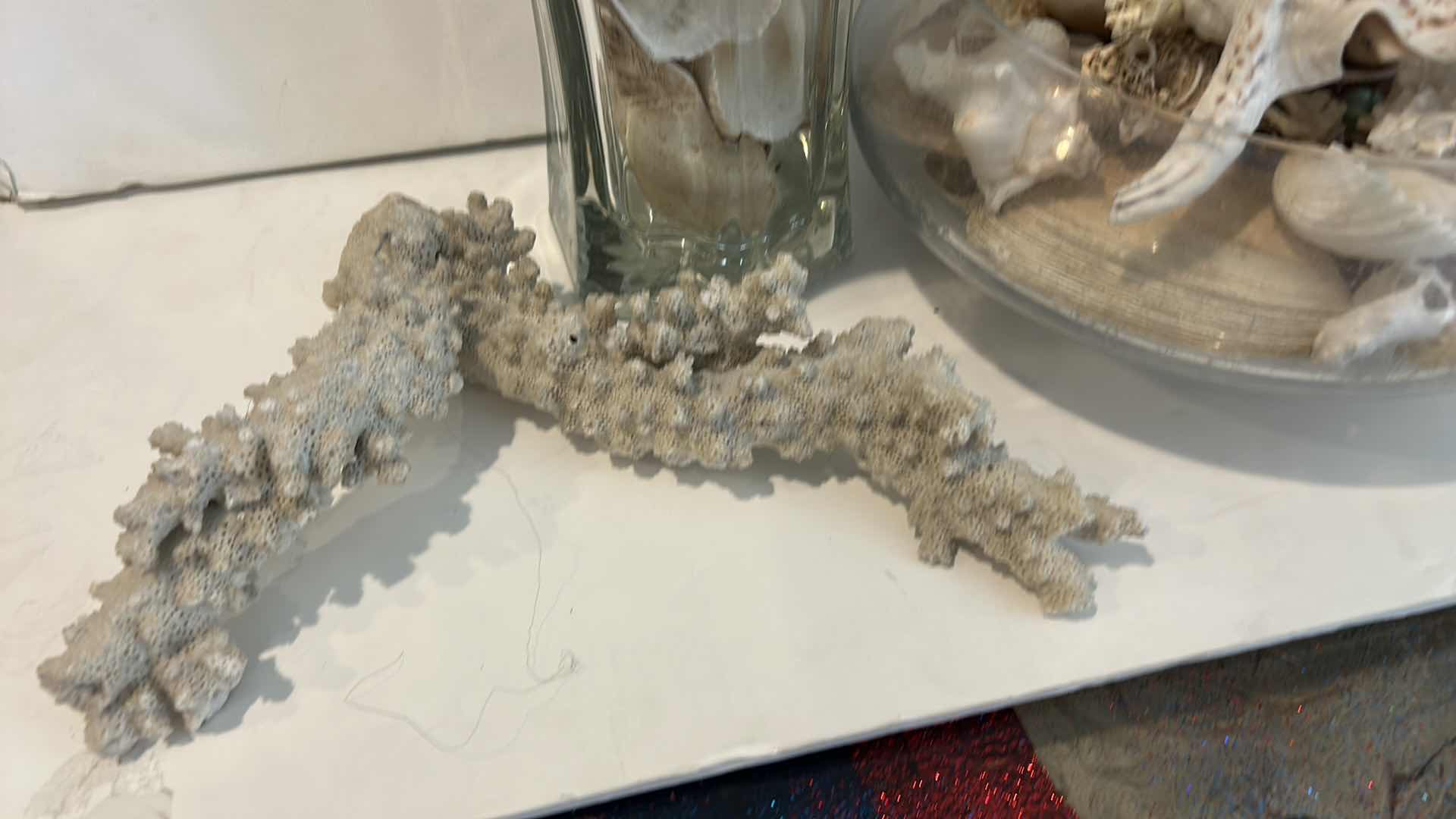 Photo 4 of 2 GLASS CONTAINERS WITH SHELLS AND CORRAL ( TALLEST H 10.5”)