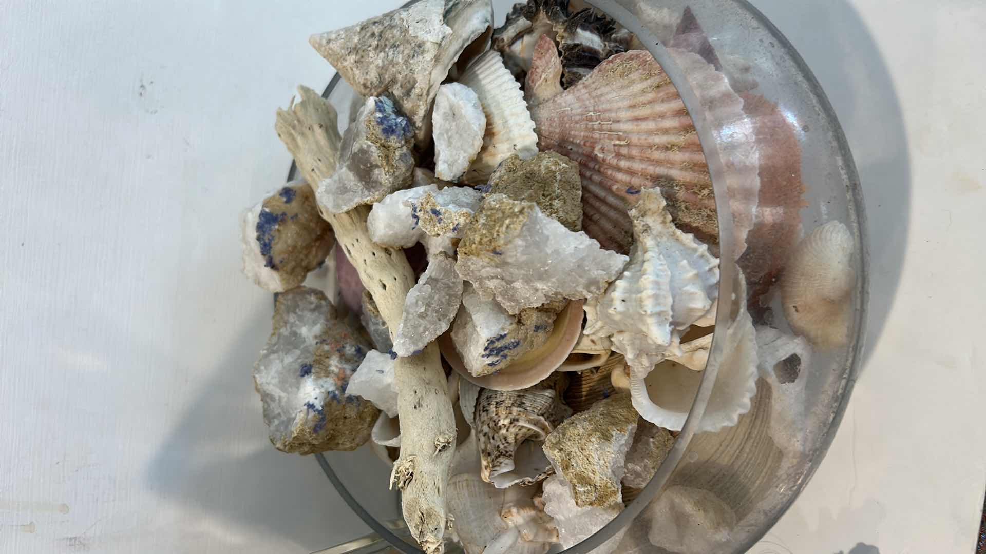 Photo 6 of 2 GLASS CONTAINERS WITH SHELLS AND CORRAL ( TALLEST H 10.5”)