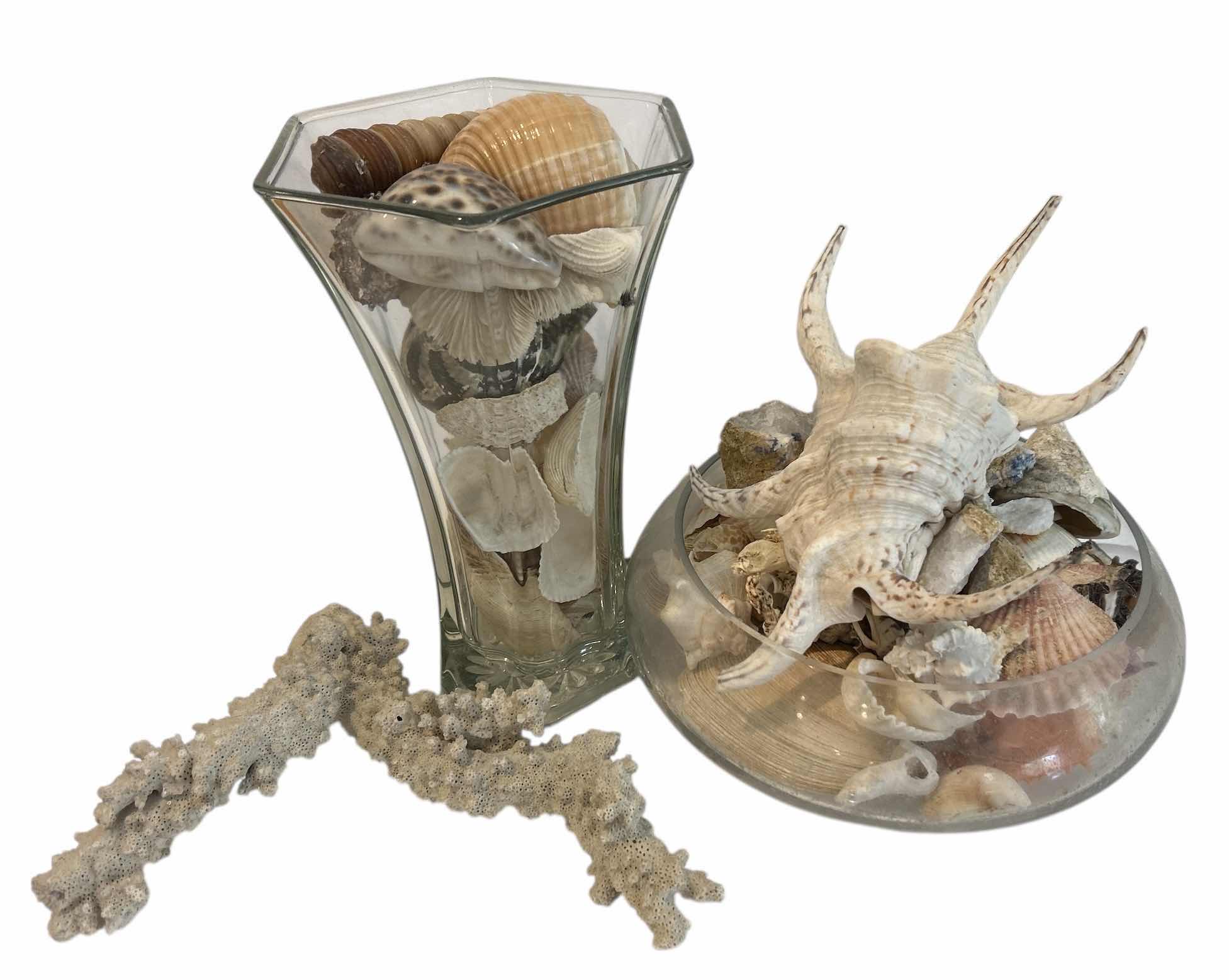 Photo 1 of 2 GLASS CONTAINERS WITH SHELLS AND CORRAL ( TALLEST H 10.5”)